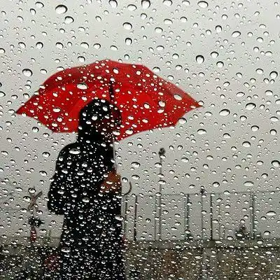 positive meaningful positive nature eye catching dp whatsapp positive meaningful positive nature eye catching dp whatsapp
